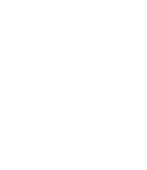 Music T-Shirt, Musician Gift, Guitar Graphic Tees, Country Music Shirts, Rock Shirt, Birthday Gifts for Friend, Genderneutral Adult Tshirt