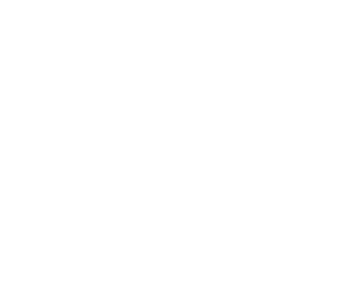 Family Matching Disney Shirt, Custom Disney Shirt, Disney Youth Shirt, Disney Vacation Shirt, Minnie Mouse Shirt, Mickey Minnie Graphic Tee