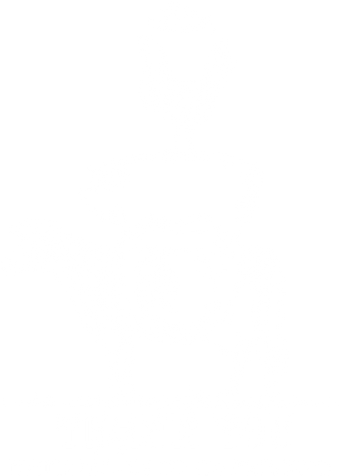 Natural Keto Carnivore Shirt, Food Pyramid Shirt For Men, Ketogenic Diet Tee, Carnivore Tshirt, Cow Pig Chicken Fish Pyramid Shirt