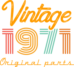 50th Birthday Shirt, Vintage T Shirt, Vintage 1971 Shirt, 50th Birthday Gift For Women, 50th Birthday Shirt Men, Retro Shirt, Vintage Shirts