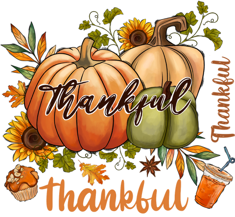 Pumpkin Shirts, Autumn Clothing, Thanksgiving Crewneck Sweatshirt, Fall Shirt, Thankful Graphic Tees, Women Vneck Tshirt, Funny Gift for Her