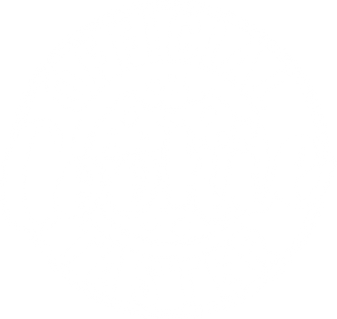 Cute Official Cookie Taster T-Shirt, Family Christmas Shirt, Funny Baking Shirts, Christmas Baking Shirt, Cookie TShirt, Gift For Christmas