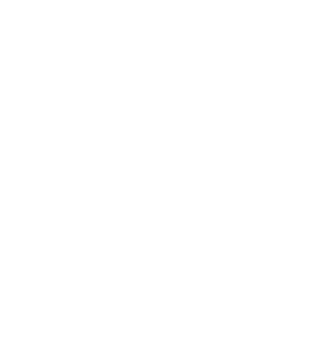 Funny Chicken Shirt, Cockerel T-shirt, Rooster Tshirt, Funny Fowl Shirt, Funny Chicken Language T-shirt, Farm Animals Shirt, Farm Life Tee
