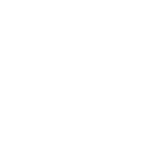 I Have a Dream Shirt, Martin Luther King T-Shirt, Unique Holiday Gift, Gift Father, Black Power Tee, MLK Tshirt, Black History T Shirt