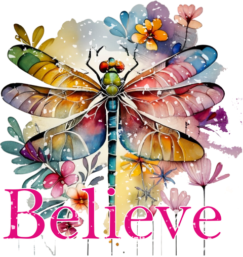 Believe Shirt, Dragonfly Shirt, Dragonfly Believe Shirt, Inspirational Shirt, Dragonfly Lover Gift, Mental Health Tee, Vintage Graphic Shirt