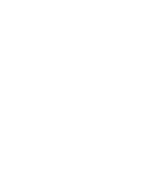 Otter Gifts, Flower Shirts, Funny Otter Shirt, Plant T-Shirt, Sea Otter Graphic Tees, Cute Shirt, Otter Outfit, Gift for Her, Floral Tees