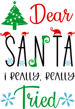 Dear Santa I Really Tried Youth Sweatshirt, Christmas Tree Sweatshirt For Youth, Santa Youth Gift, Christmas Santa Youth Sweatshirt