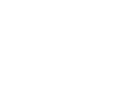 Dialysis Nurse Stethoscope Shirts, Dialysis Tech Shirt, Nephrology T-Shirt, Nephrologist Shirt, Nurse Shirt, Dialysis Nurse Gift, Nurse Tee