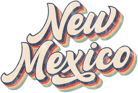 Retro New Mexico Shirt, New Mexico Lover Gift, Vintage New Mexico Tshirt, New Mexico State Shirt, New Mexico Travel Shirt, Gift for Her