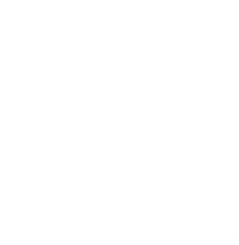 Cat Ladies Tshirt Voting Kamala Tee, Cat Mom Lover Gift For Democrats Shirts, Cat Feminist Tee, Gift Rally Shirt, Cat Design Shirt,Kamala 24