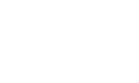 Cat Shirt, Gift for Her, Dog Sweatshirt, Dog and Cat Bestfriends, Pets Love, Cat Graphic Tees, Gift for Friend, Retro Shirt, Shirt for Women