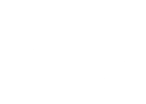Cute Butterfly Shirts, Heart Crewneck Sweatshirt, Shirts for Women, Gifts for Her, Mothers Day Shirt, Sister Shirts, Girlfriend Gift