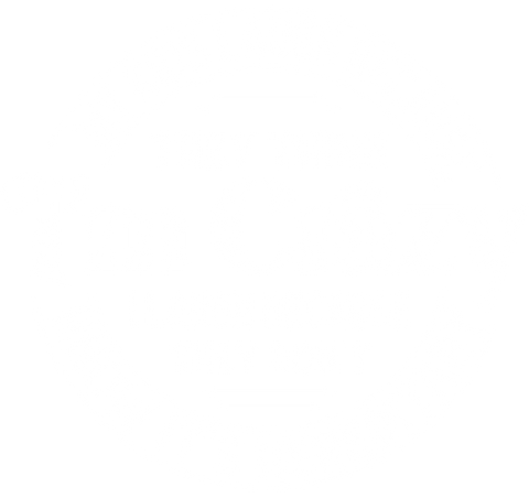 Funny Mom Shirts, Sarcastic Mom Tees, Funny Family Shirt, Family Reunion Shirt, Mother's Day Shirts, Gift for Mom, Birthday Gifts for Her