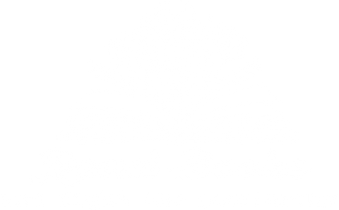 Read Books Feminist Bodysuit, Fight the Patriarchy Baby Bodysuit,Feminism Natural Bodysuit,Birth Announcement for Librarian,Baby Shower Gift