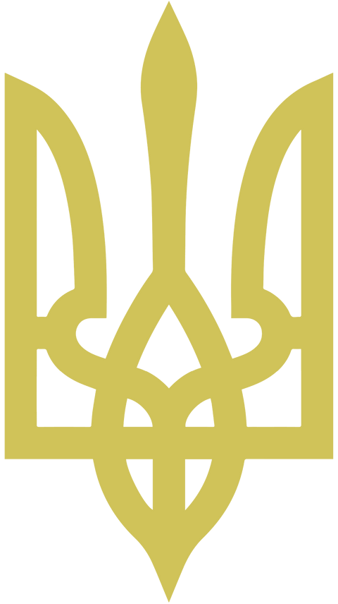 Ukraine Coat Of Arms, Ukraine Military Shirt, Ukraine Trident Shirt, Ukrainian Patriotic Shirt, Ukraine Heritage Tshirt, Zelensky Shirt