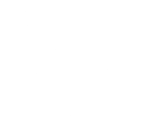 Dinosaur Heart Valentines Day Shirt, Valentine Gifts, Valentines Day Crewneck Sweatshirt, Valentine Heart, Matching Couple, Gift for Her