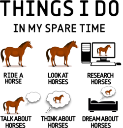 Horse Gift For Women, Horseback Riding Shirt, Horseback Sport Gift, Cute Horse Shirt, Horse Rider Gift, Horse Riding Shirt, Horse Lover Tee