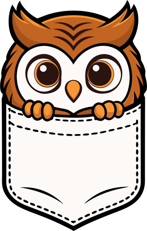 Cute Witch Owl Pocket T-Shirt, Halloween Casual Tee, Heather Maroon Witchy Owl Shirt, Spooky Season Apparel, Fall Fashion Top