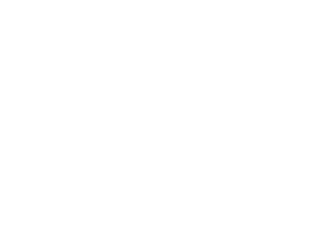 Rock Star Tshirt, Concert T Shirt, Rock Graphic Tees, Musician Clothing, Gift for Girlfriend, Women Vneck T-Shirt, Music Teacher Gifts