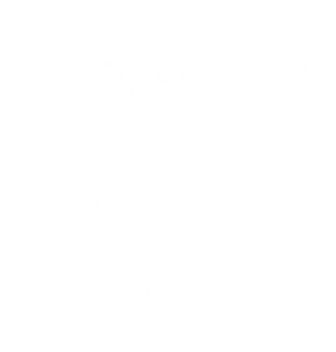 Cool Travel T-Shirt, Matching Couples Shirts, Vacation Tee, Family Trip Gift, Summer Clothing, Holiday Vneck Tshirt, Husband Wife T-Shirts