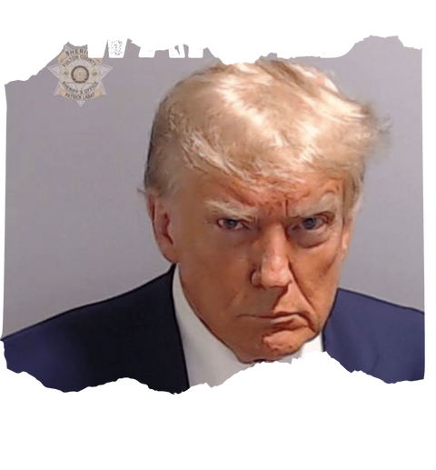 Trump 2024 TShirt, Trump Mugshot Shirt, Republican T Shirt, Election T-Shirt, Womens Vneck Shirts, Political Graphic Tees, Patriotic Clothes