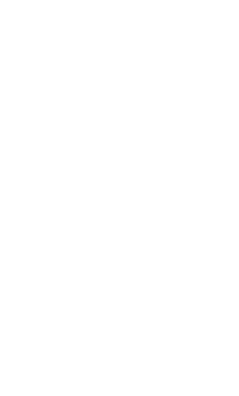 Aesthetic Animal Clothing, Celestial Snake T Shirts, Cool Reptile Graphic Tees, Floral Hand VNeck T-Shirts, Gifts for Her, Shirts for Women
