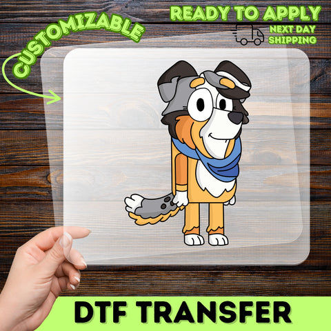 Cute & Funny I'M Sorry Graphic DTF Transfer for Holiday Season Ready To Press Iron-On Decal Perfect for T-shirt Sweatshirt Gifts