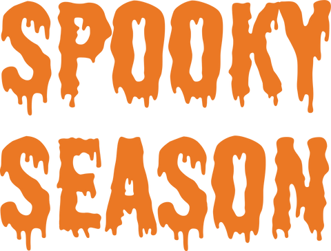 Spooky Season Shirt, Halloween Gifts, Autumn Toddler Tshirt, Halloween Party Shirts, Fall Clothing, Shirts for Kids, Women Vneck T Shirt