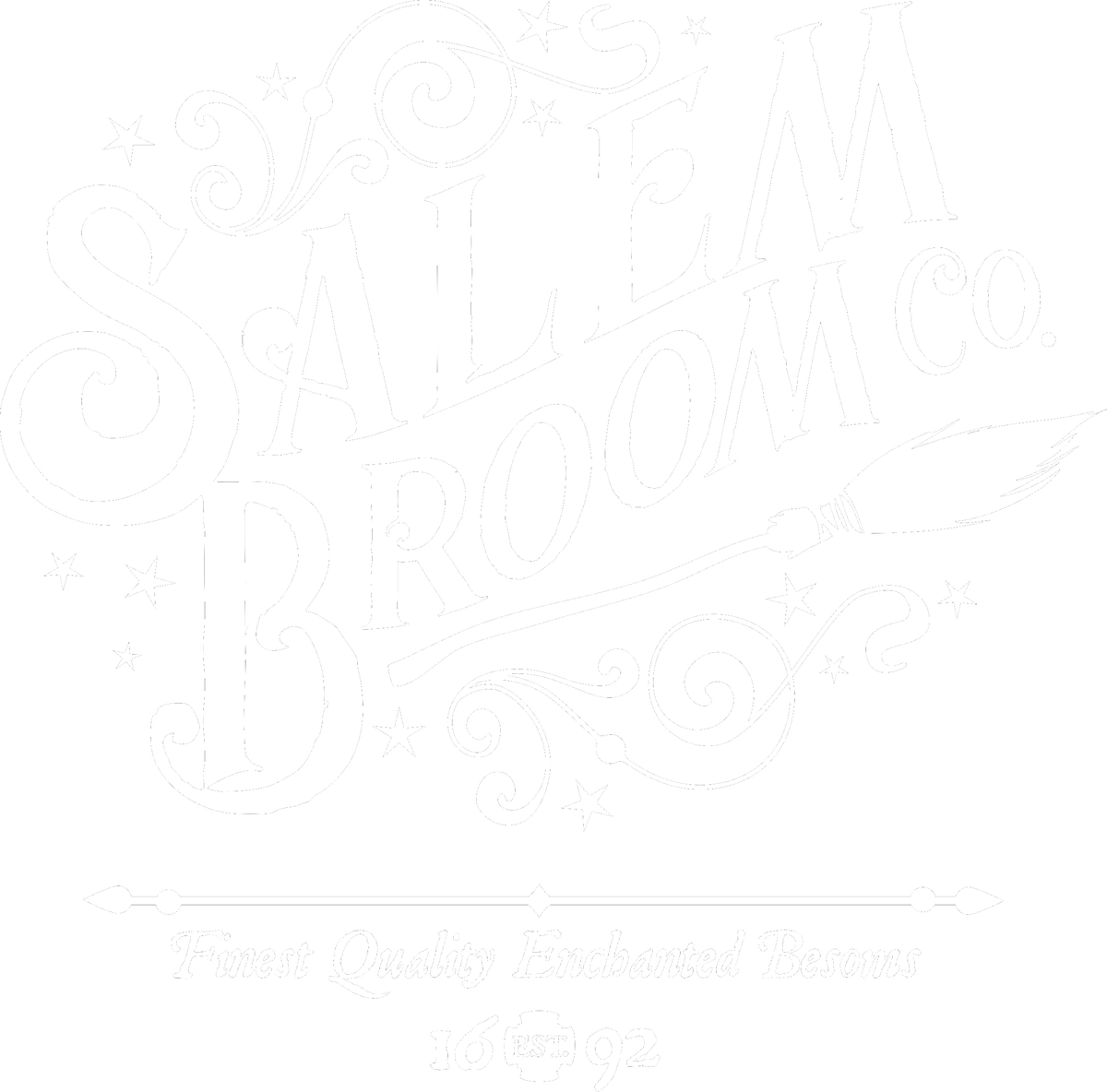 Salem Broom Co. T-Shirt, Funny Halloween Shirt, Witch Lover Shirt, Halloween Gift Shirt, Salem Witch Shirt, Hocus Pocus Shirt, Salem Shirt