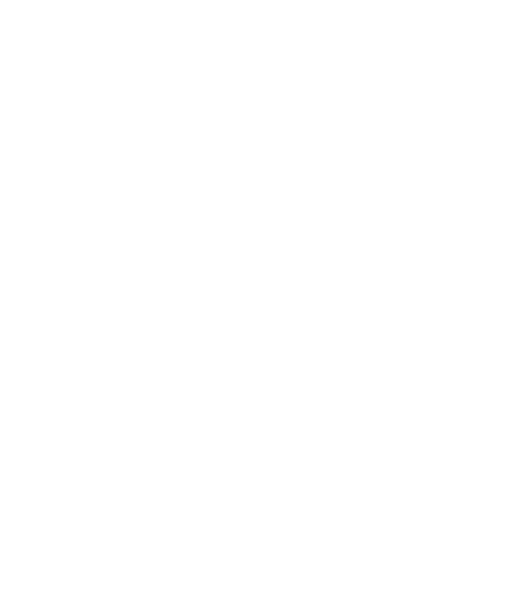 Adventurer T Shirt, Family Travel Shirt, Funny Traveler Shirt, Holiday T-Shirt, Vacation Shirt, Gift for Vacation, Air Traveler Shirt