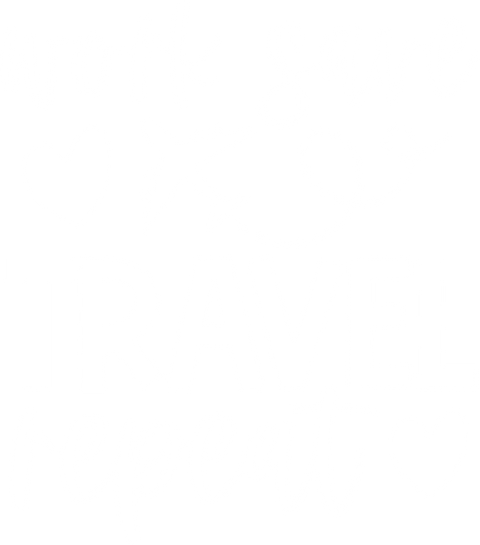 Adventurer T Shirt, Family Travel Shirt, Funny Traveler Shirt, Holiday T-Shirt, Vacation Shirt, Gift for Vacation, Air Traveler Shirt