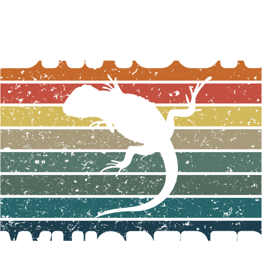Retro Bearded Dragon Shirt, Bearded Dragon T-Shirt Lizard T-Shirts, Bearded Dragon Shirt Dragon Shirt Reptiles T-Shirt Cute Dragon Shirts