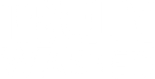 Truly Wasted T-Shirt, Alcoholic Shirt, Drink Alcohol Shirt, Drunk Shirt, Funny Alcohol Shirt, Gift For Alcohol, Drinking Shirt, Drunk Tee