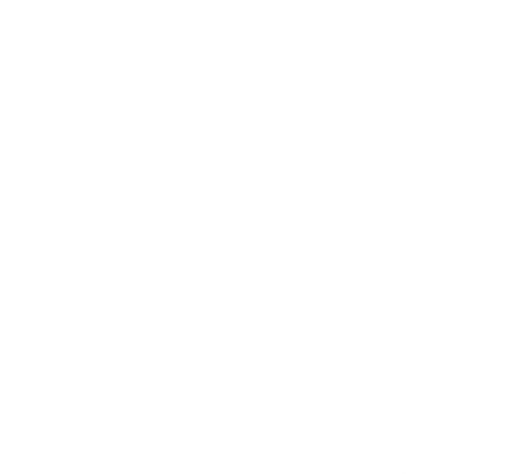 FastDeliveryTees, Vet Tech Week Gifts, Womens Clothing, Vet Tech Student Shirts, Veterinarian Vneck T Shirt, Veterinary Medicine T-Shirt, Future Vet Clothing (Onesie, stethoscope)