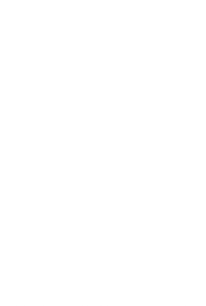 Society Of Obstinate Headstrong Girls, Jane Austen Fan Shirt, Feminist Shirt, Jane Austen Quotes T Shirt, Pride And Prejudice Shirt