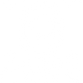 Society Of Obstinate Headstrong Girls, Jane Austen Fan Shirt, Feminist Shirt, Jane Austen Quotes T Shirt, Pride And Prejudice Shirt