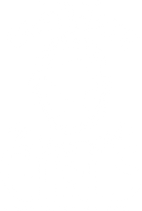 Society Of Obstinate Headstrong Girls, Jane Austen Fan Shirt, Feminist Shirt, Jane Austen Quotes T Shirt, Pride And Prejudice Shirt
