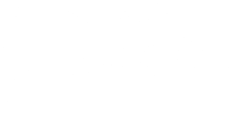 Girlfriend Fiance Shirt, Boyfriend Shirt, Matching Shirt, Not Girlfriend Shirt, Engagement Shirt, Engagement Announcement Shirt, Engaged Tee