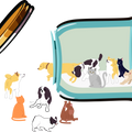 Vet Tech Dog Cat Happy Pills Shirt, Vet Tech Shirt, Veterinary Tech Tee, Veterinarian Shirt, Vet Tech Week, Vet Technician Tee, Vet Med Tee