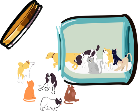 Vet Tech Dog Cat Happy Pills Shirt, Vet Tech Shirt, Veterinary Tech Tee, Veterinarian Shirt, Vet Tech Week, Vet Technician Tee, Vet Med Tee