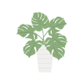 Plant Lover Funny Saying Shirt, Gardening Shirt, Plant Mom Shirts, Botanical Tshirt, Gift For Gardener, Nature Lover Shirt, Plant Lady Tee