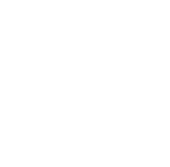 Trees Tee, Pine Tree Shirt, Pine Tree T Shirt, Camping Shirt, Hiking Shirt, Adventure Shirts, Nature Lover Gift, Outdoors Shirt, Nature Tee