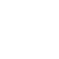 Trees Tee, Pine Tree Shirt, Pine Tree T Shirt, Camping Shirt, Hiking Shirt, Adventure Shirts, Nature Lover Gift, Outdoors Shirt, Nature Tee