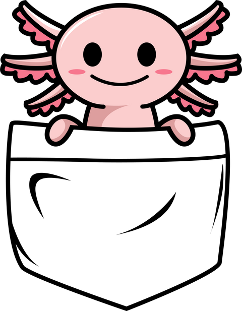 Axolotl Lover Gift, Funny Cute Axolotl Shirt, Salamander Lover T Shirt, Funny Axolotl Shirt, Axolotl Tee,Animal Lover Gift,Kid Birthday Gift