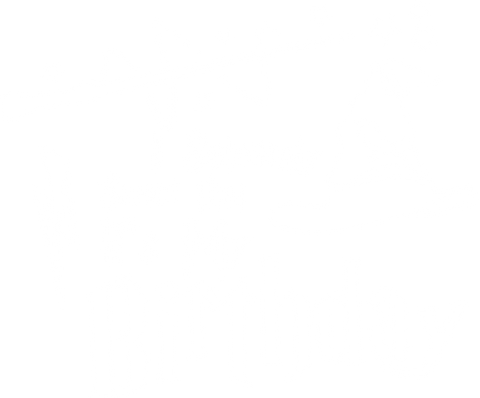 I Solemnly Swear That It’s My Birthday Shirt, Harry Inspired T-Shirt, Magic Birthday Shirt, Potter Wizard Tee, Birthday Girl Boy Shirt