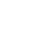 Funny Chicken Shirt, Cockerel T-shirt, Rooster Tshirt, Funny Fowl Shirt, Funny Chicken Language T-shirt, Farm Animals Shirt, Farm Life Tee
