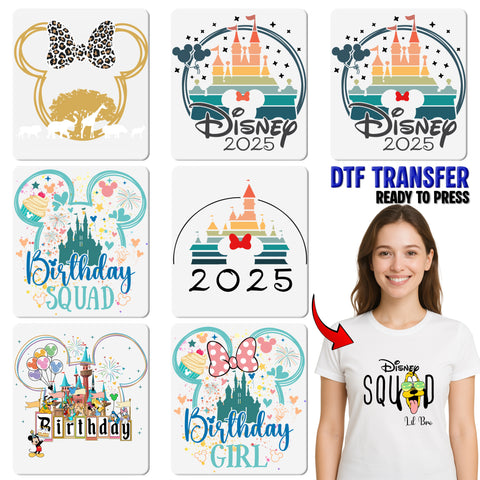 Disney-Inspired Birthday Squad DTF Transfer Ready To Press for Kids & Family Amusement Park T-Shirt