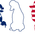 Poodle Dog American Flag Tee, Patriotic Poodle 4th Of July Shirt, Independence Day Poodles Tshirt, Poodle Lover Usa Flag Tshirt, Poodle Tee