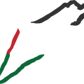 Free Palestine Shirts, Palestine Map Shirt, Save Gaza T Shirt, Activist Shirt, Free Gaza Tshirt, Stand With Palestine, Equality T-Shirt