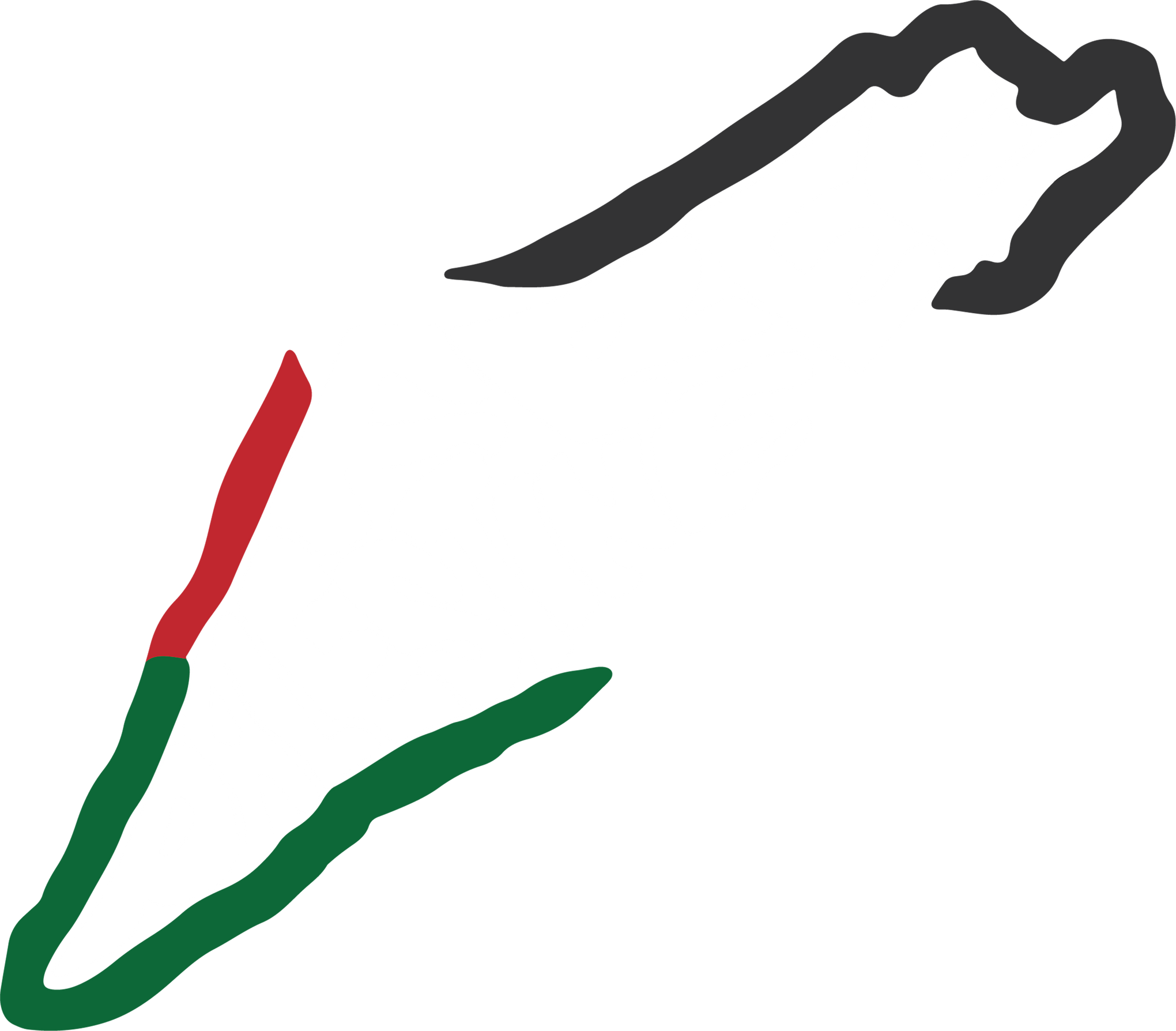 Free Palestine Shirts, Palestine Map Shirt, Save Gaza T Shirt, Activist Shirt, Free Gaza Tshirt, Stand With Palestine, Equality T-Shirt